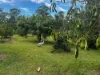 220 Lees Lane, Hogarth Range NSW 2469-Image