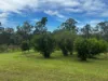 220 Lees Lane, Hogarth Range NSW 2469-Image