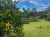 220 Lees Lane, Hogarth Range NSW 2469-Image