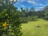 220 Lees Lane, Hogarth Range NSW 2469-Image