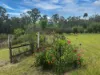 220 Lees Lane, Hogarth Range NSW 2469-Image