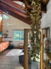220 Lees Lane, Hogarth Range NSW 2469-Image