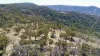 220 Never Never Road, Halls Creek, NSW 2346