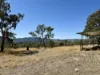 220 Never Never Road, Halls Creek, NSW 2346-Image