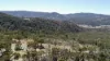220 Never Never Road, Halls Creek, NSW 2346-Image