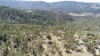 220 Never Never Road, Halls Creek, NSW 2346-Image