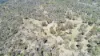 220 Never Never Road, Halls Creek, NSW 2346-Image