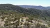 220 Never Never Road, Halls Creek, NSW 2346-Image