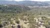 220 Never Never Road, Halls Creek, NSW 2346-Image