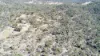 220 Never Never Road, Halls Creek, NSW 2346-Image