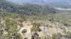 220 Never Never Road, Halls Creek, NSW 2346-Image