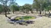 220 Never Never Road, Halls Creek, NSW 2346-Image