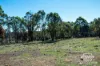 2207 Emmaville Road, Glen Innes, NSW 2370-Image
