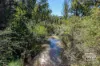 2207 Emmaville Road, Glen Innes, NSW 2370-Image