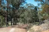 2207 Emmaville Road, Glen Innes, NSW 2370-Image