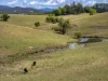 221 Lower Buckra Bendinni Road, Buckra Bendinni, NSW 2449-Image