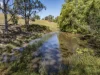 221 Lower Buckra Bendinni Road, Buckra Bendinni, NSW 2449-Image