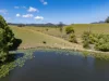 221 Lower Buckra Bendinni Road, Buckra Bendinni, NSW 2449-Image