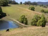 221 Lower Buckra Bendinni Road, Buckra Bendinni, NSW 2449-Image