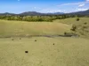 221 Lower Buckra Bendinni Road, Buckra Bendinni, NSW 2449-Image