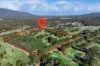 221 Nancy Bird Walton Drive, Kew, NSW 2439