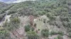 2210 Timor Road, Coonabarabran NSW 2357-Image