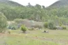 2210 Timor Road, Coonabarabran NSW 2357-Image