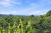 221D Bennetts Road, Coffs Harbour, NSW 2450-Image