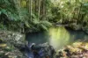 221D Bennetts Road, Coffs Harbour, NSW 2450-Image