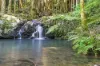 221D Bennetts Road, Coffs Harbour, NSW 2450-Image