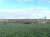 2226 Narrung Road, Narrung, SA 5259-Image