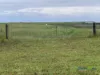 2226 Narrung Road, Narrung, SA 5259-Image