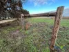 2226 Narrung Road, Narrung, SA 5259-Image