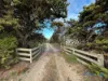2226 Narrung Road, Narrung, SA 5259-Image