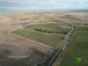 2226 Narrung Road, Narrung, SA 5259-Image