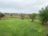 2226 Narrung Road, Narrung, SA 5259-Image