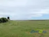2226 Narrung Road, Narrung, SA 5259-Image