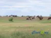 2226 Narrung Road, Narrung, SA 5259-Image