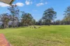 2237, Beechmont QLD 4211-Image