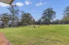 2237 Beechmont Road, Beechmont, Qld 4211-Image