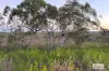 225 Edith Farms Road, Katherine, NT 0850-Image