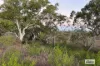 225 Edith Farms Road, Katherine, NT 0850-Image