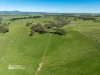225 Emu Swamp Road, Orange, NSW 2800-Image