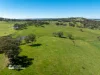 225 Emu Swamp Road, Orange, NSW 2800-Image