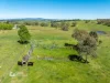 225 Emu Swamp Road, Orange, NSW 2800-Image