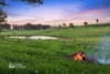 225 Emu Swamp Road, Orange, NSW 2800-Image