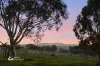 225 Emu Swamp Road, Orange, NSW 2800-Image