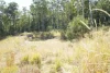 225 Murray Scrub Road, Kyogle, NSW 2474-Image
