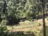 225 Murray Scrub Road, Kyogle, NSW 2474-Image