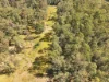 225 Murray Scrub Road, Kyogle, NSW 2474-Image
